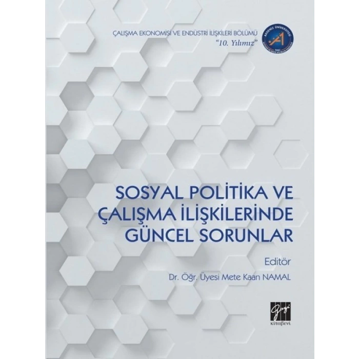 Sosyal Politika ve Çalışma İlişkilerinde Güncel Sorunlar - Mete Kaan Namal