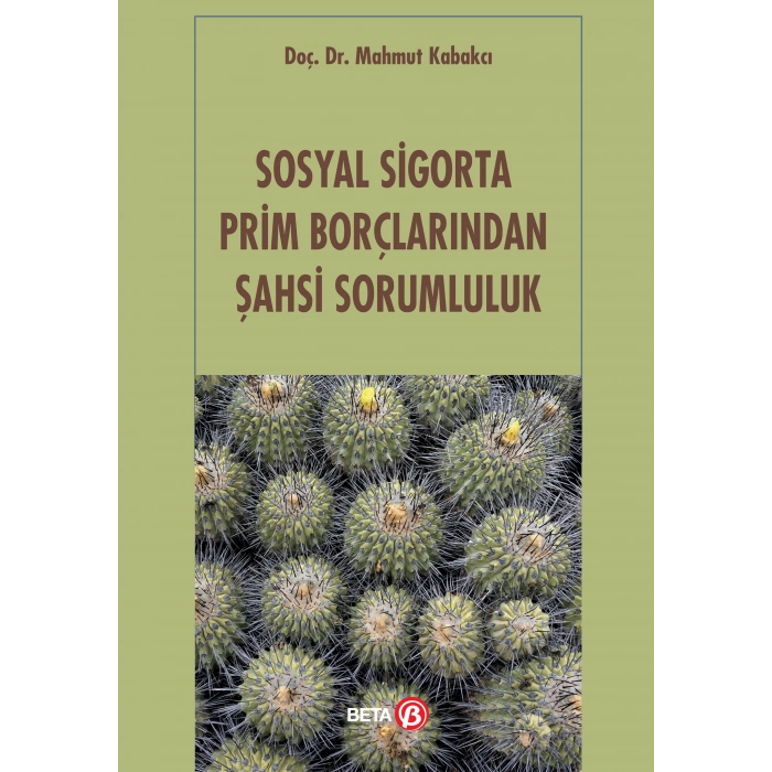 Sosyal Sigorta Prim Borçlarından Şahsi Sorumluluk