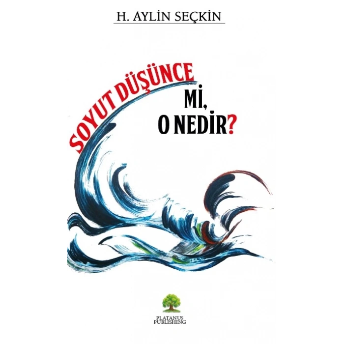 Soyut Düşünce mi, O Nedir?