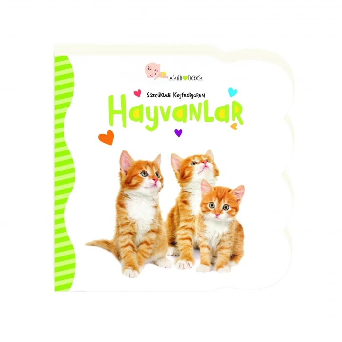 Sözcükleri Keşfediyorum Hayvanlar