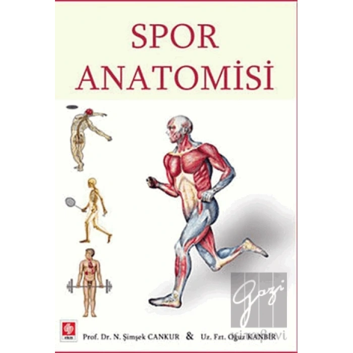 Spor Anatomisi
