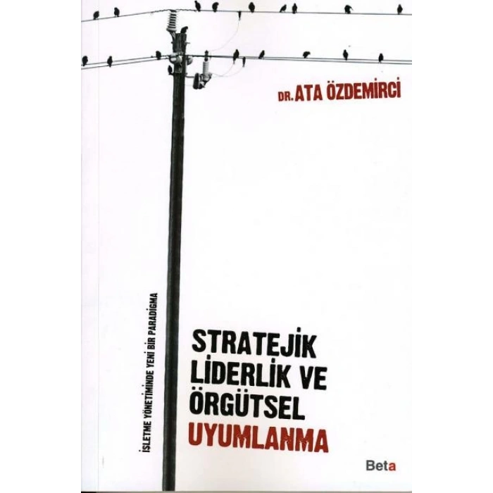 Stratejik Liderlik ve Örgütsel Uygulama