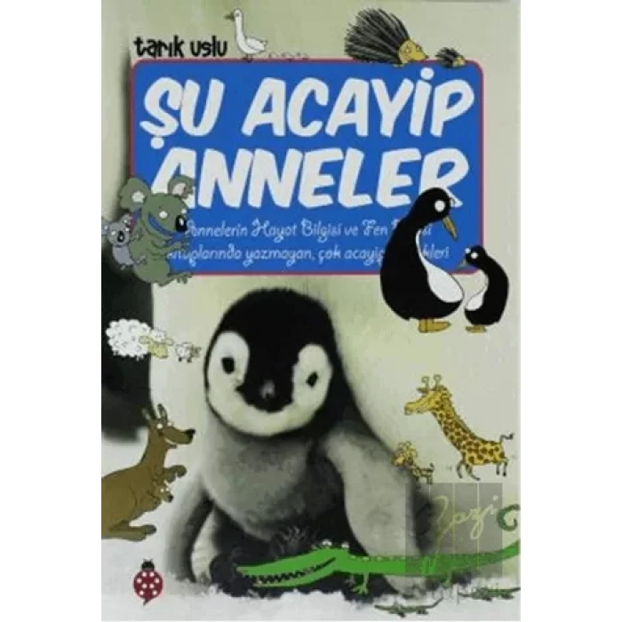Şu Acayip Anneler