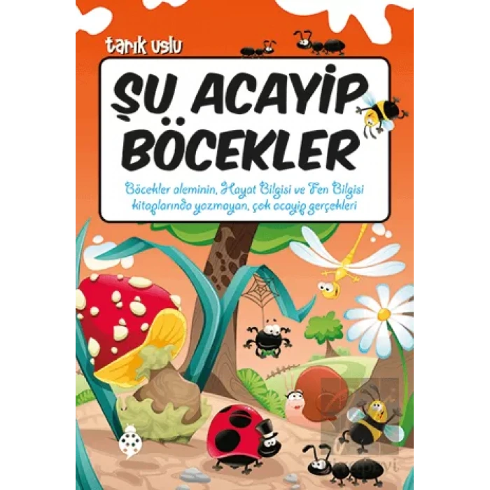 Şu Acayip Böcekler
