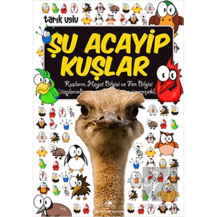 Şu Acayip Kuşlar