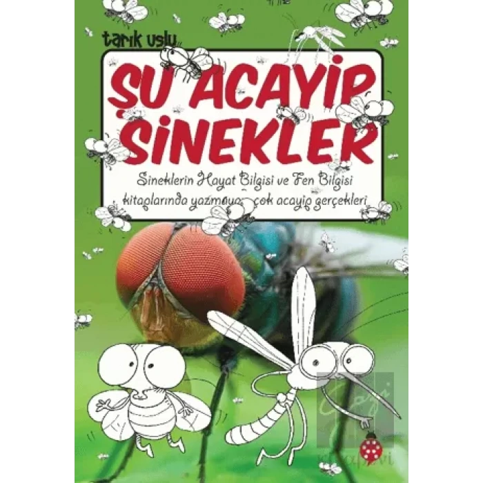 Şu Acayip Sinekler