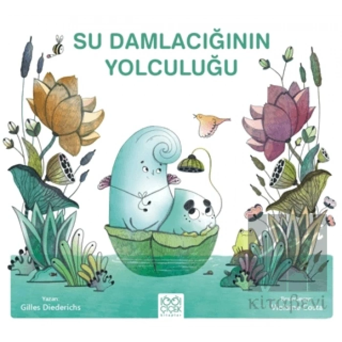 Su Damlacığının Yolculuğu
