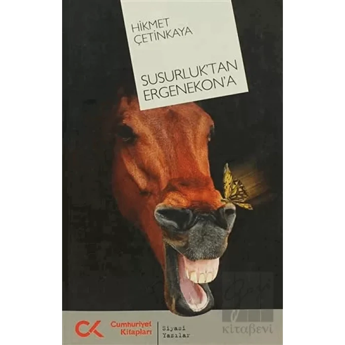 Susurluk’tan Ergenekon’a