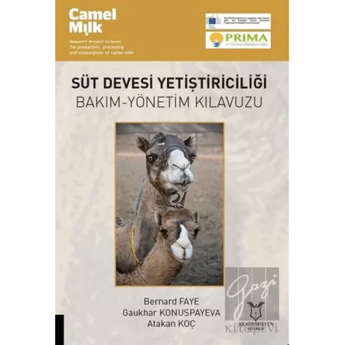 Süt Devesi Yetiştiriciliği