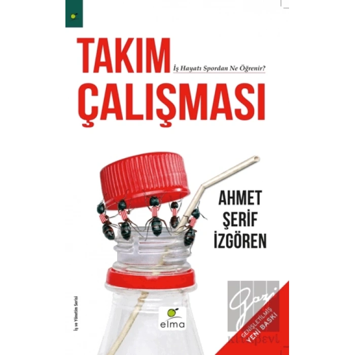 Takım Çalışması