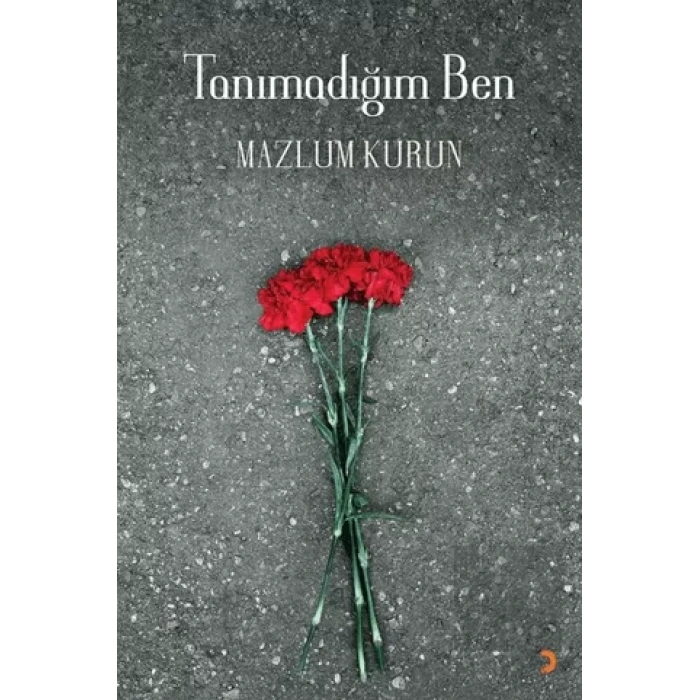 Tanımadığım Ben