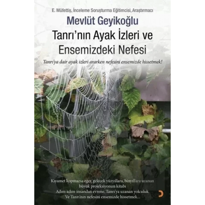 Tanrının Ayak İzleri ve Ensemizdeki Nefesi