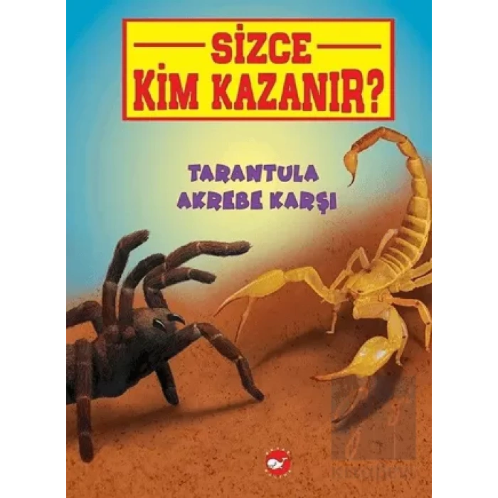 Tarantula Akrebe Karşı - Sizce Kim Kazanır?