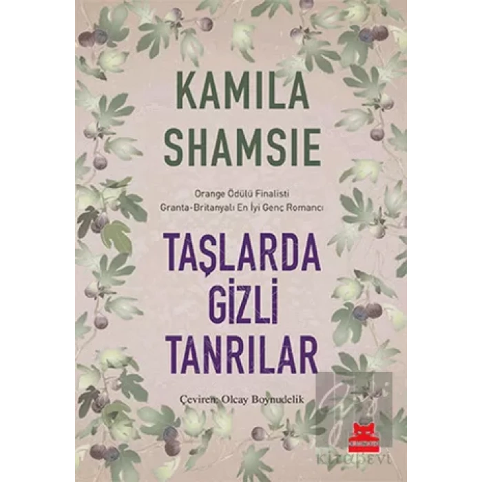 Taşlarda Gizli Tanrılar