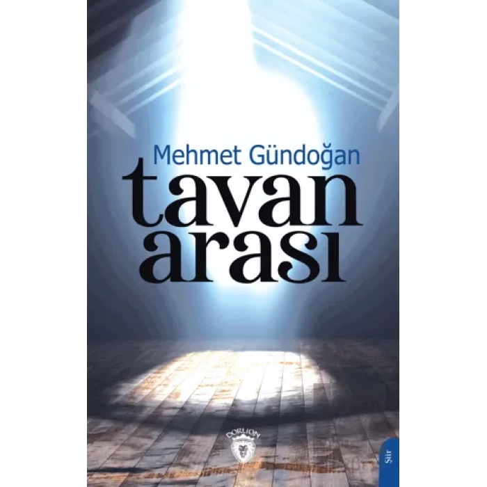 Tavan Arası