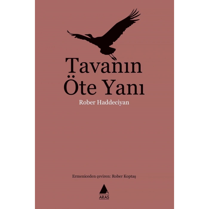 Tavanın Öte Yanı