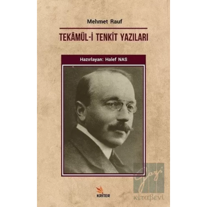 Tekamül-i Tenkit Yazıları