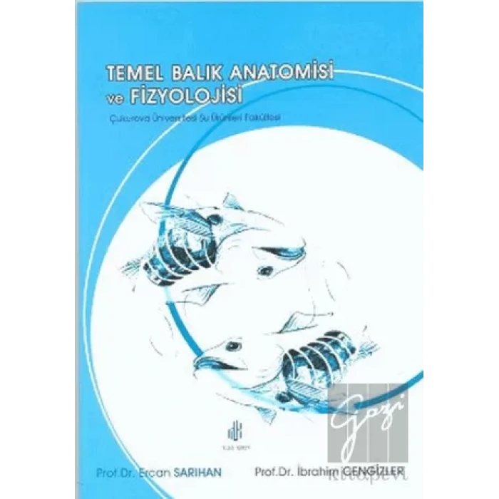 Temel Balık Anatomisi ve Fizyolojisi