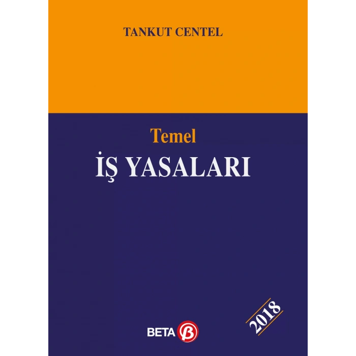 Temel İş Yasaları