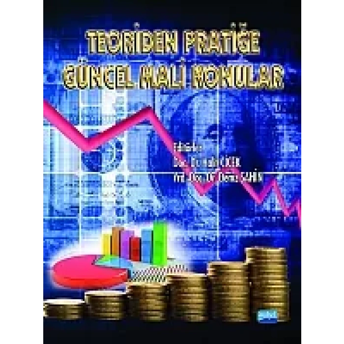 Teoriden Pratiğe Güncel Mali Konular