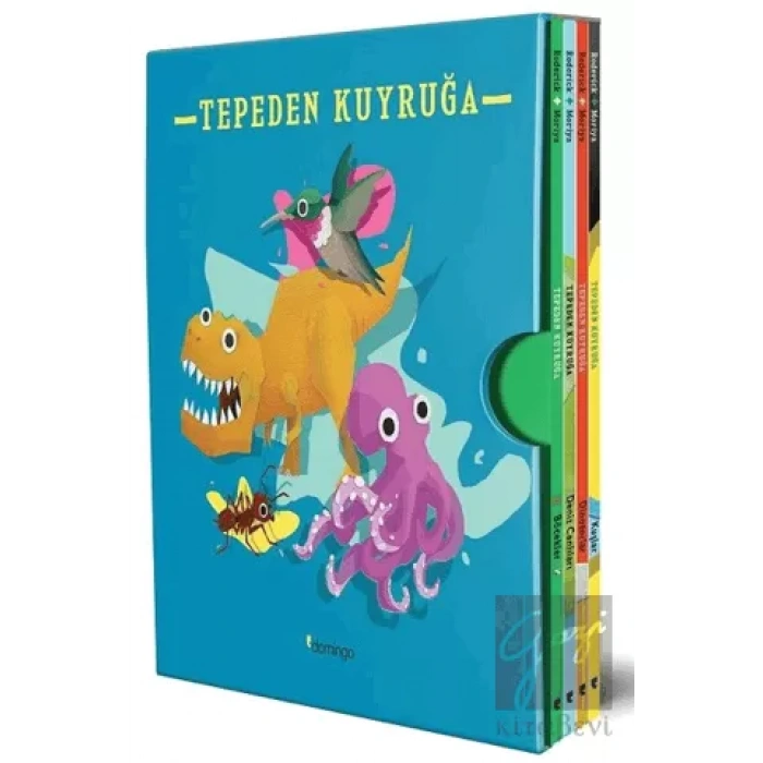 Tepeden Kuyruğa Kutulu Set (4 Kitap)