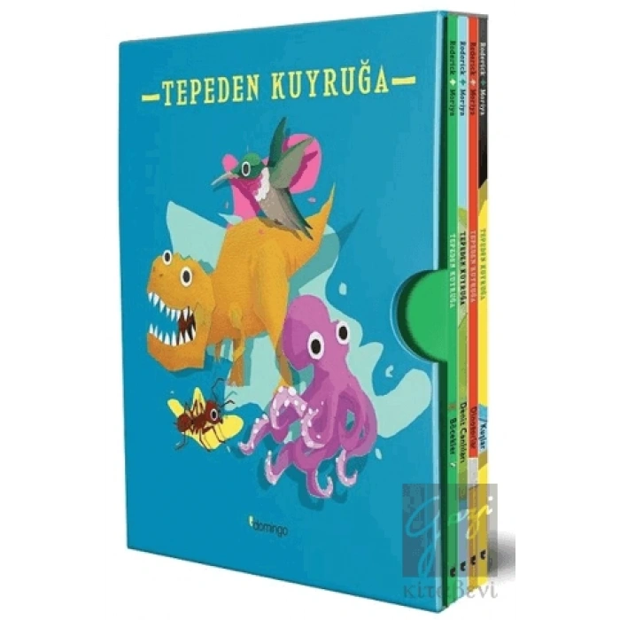 Tepeden Kuyruğa Kutulu Set (4 Kitap)
