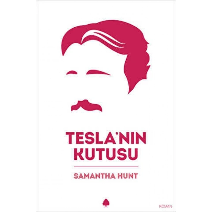 Tesla’nın Kutusu
