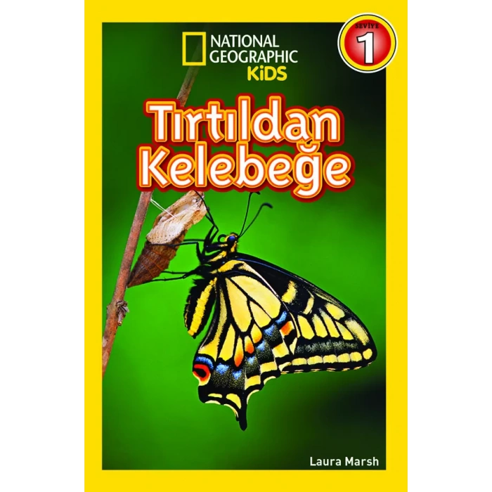 Tırtıldan Kelebeğe