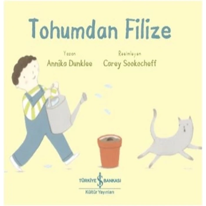 Tohumdan Filize