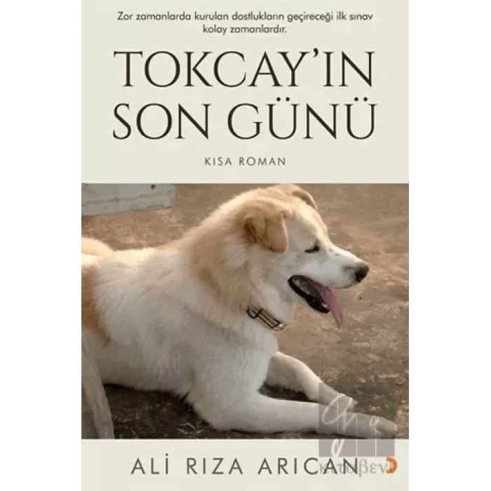 Tokcay’ın Son Günü
