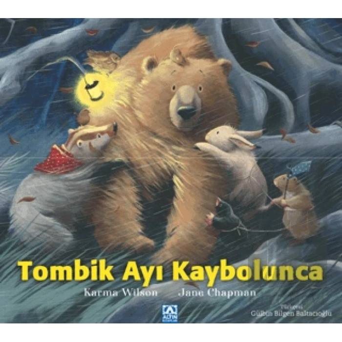 Tombik Ayı Kaybolunca
