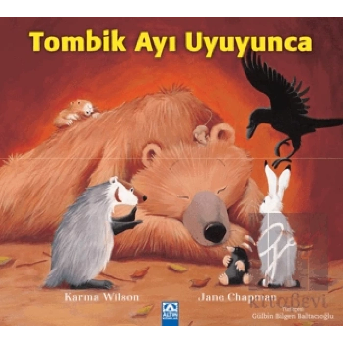 Tombik Ayı Uyuyunca
