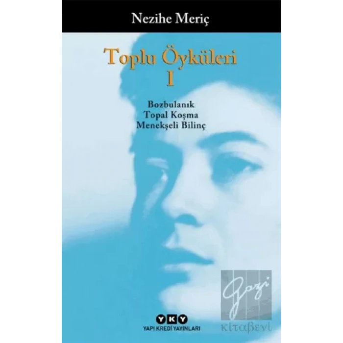 Toplu Öyküleri 1