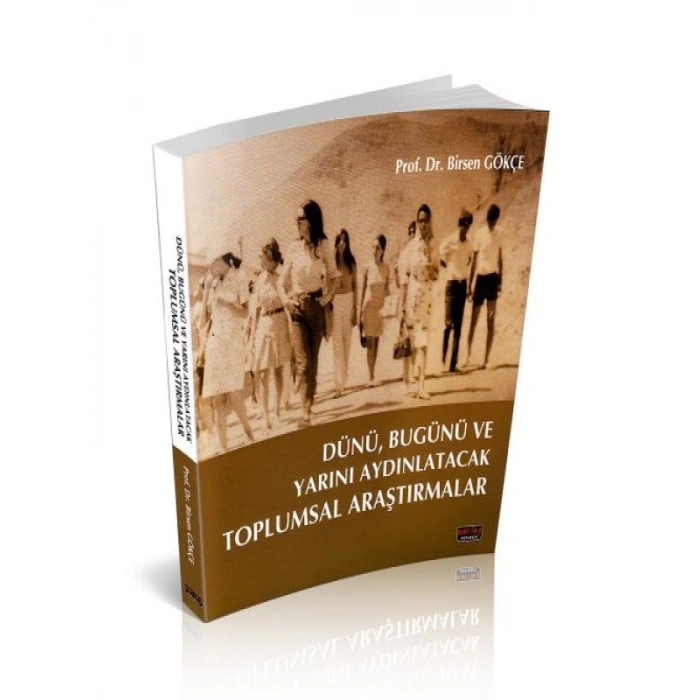 Toplumsal Araştırmalar - Birsen Gökçe