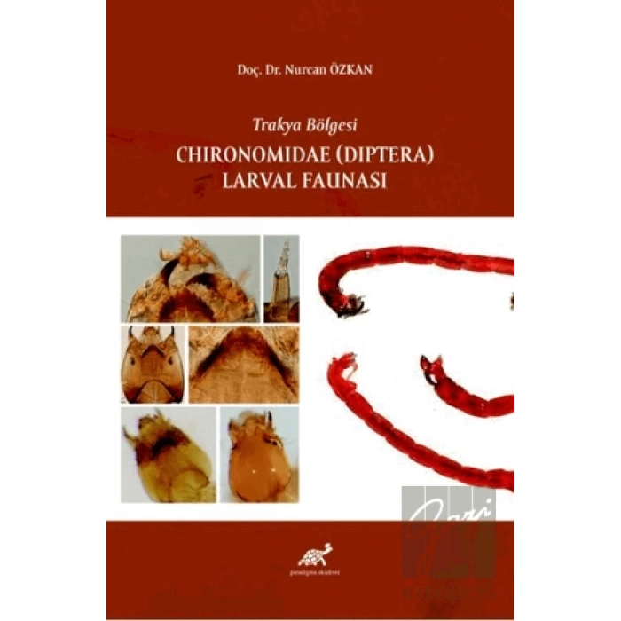 Trakya Bölgesi Chıronomıdae (Dıptera) Larval Faunası