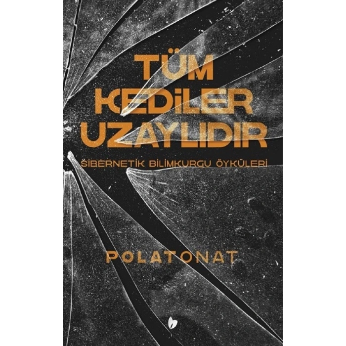 Tüm Kediler Uzaylıdır