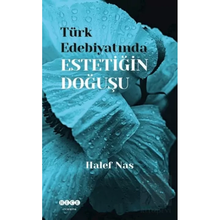Türk Edebiyatında Estetiğin Doğuşu