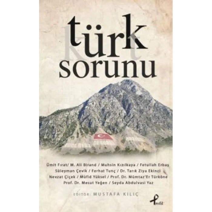 Türk Sorunu