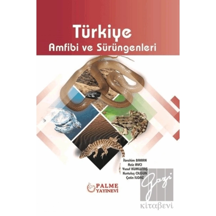 Türkiye Amfibi ve Sürüngenleri
