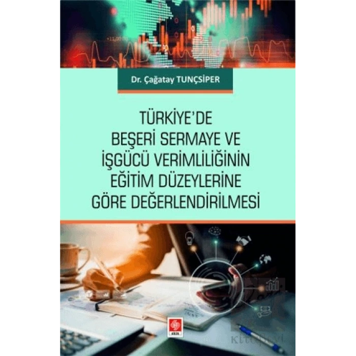 Türkiyede Beşeri Sermaye ve İşgücü Verimliliğinin Eğitim Düzeylerine Göre Değerlendirilmesi
