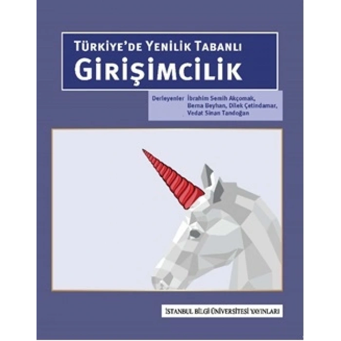 Türkiyede Yenilik Tabanlı Girişimcilik