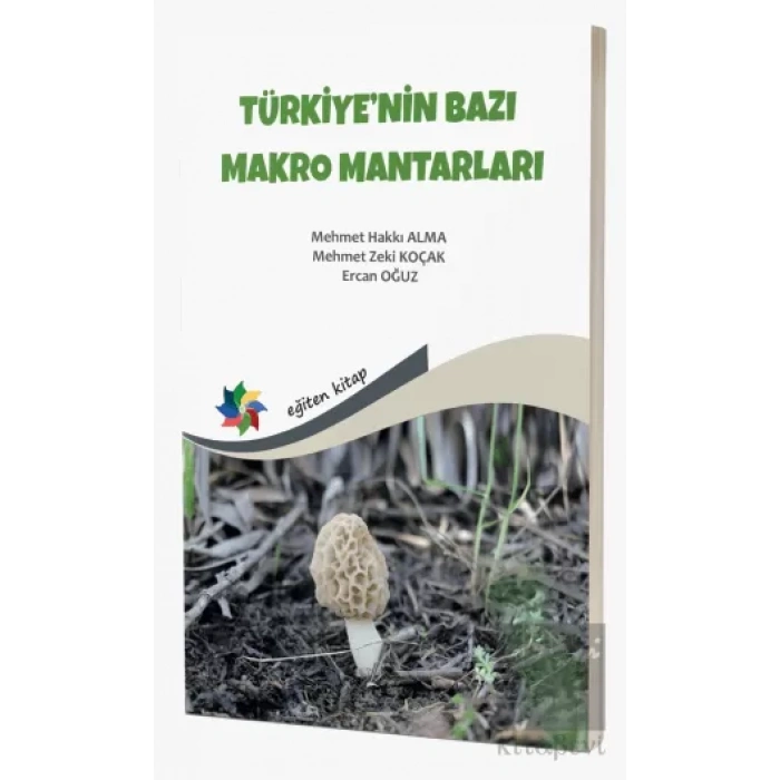 Türkiyenin Bazı Makro Mantarları