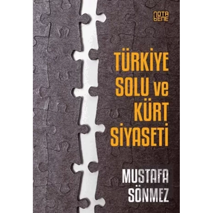 Türkiye Solu ve Kürt Siyaseti