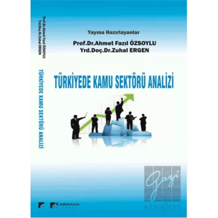 Türkiyede Kamu Sektörü Analizi