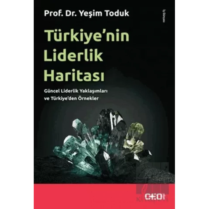 Türkiye’nin Liderlik Haritası