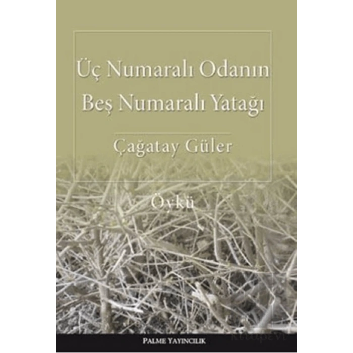 Üç Numaralı Odanın Beş Numaralı Yatağı