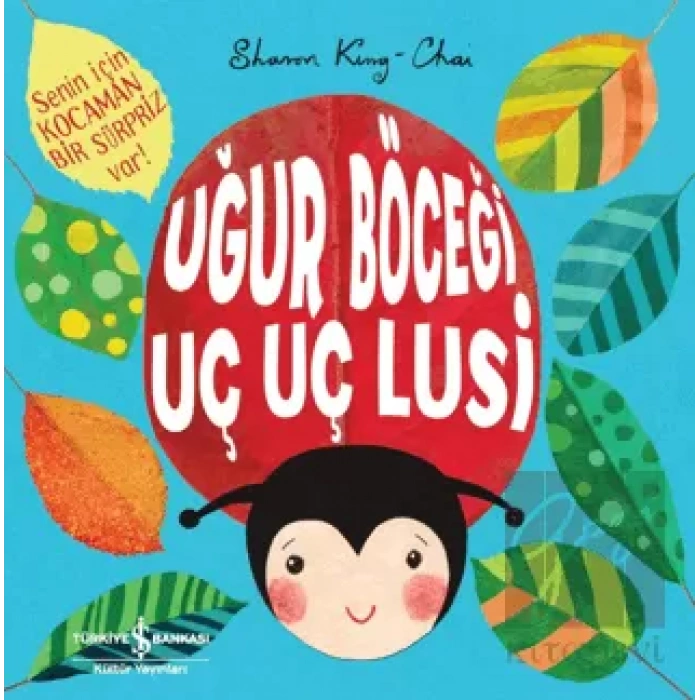 Uğur Böceği Uç Uç Lusi