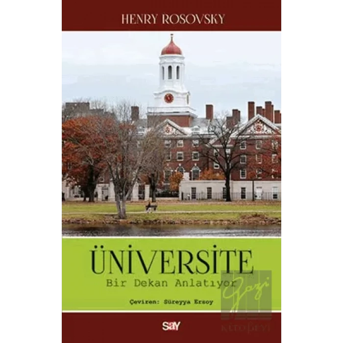 Üniversite