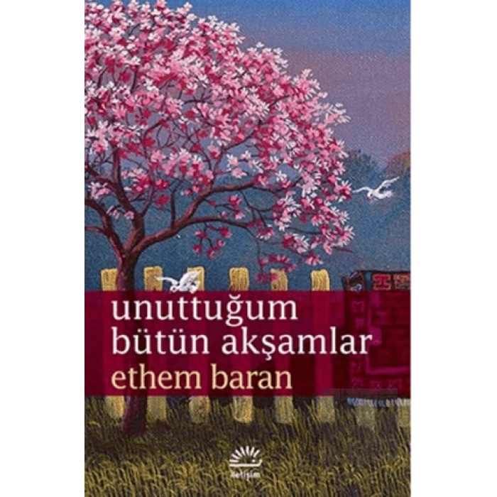 Unuttuğum Bütün Akşamlar