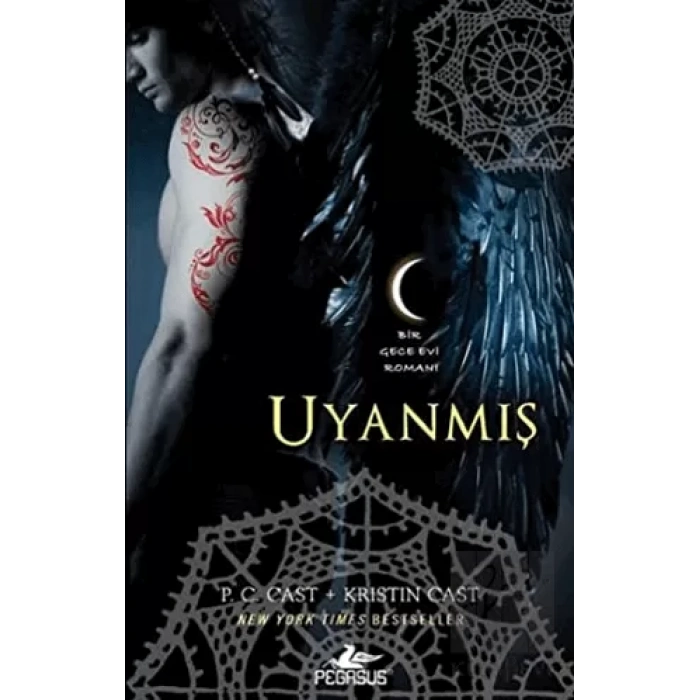 Uyanmış Bir Gece Evi Romanı